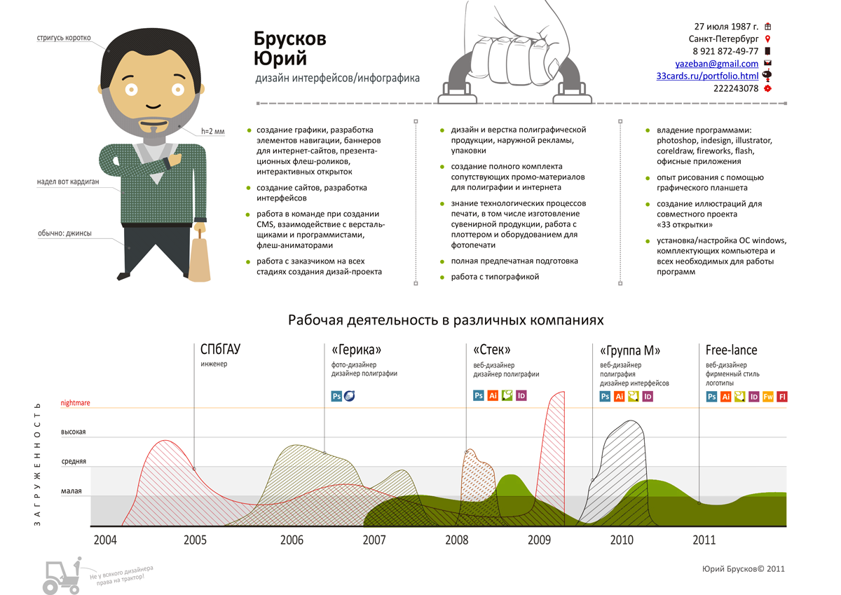 Infographic resume 2011
