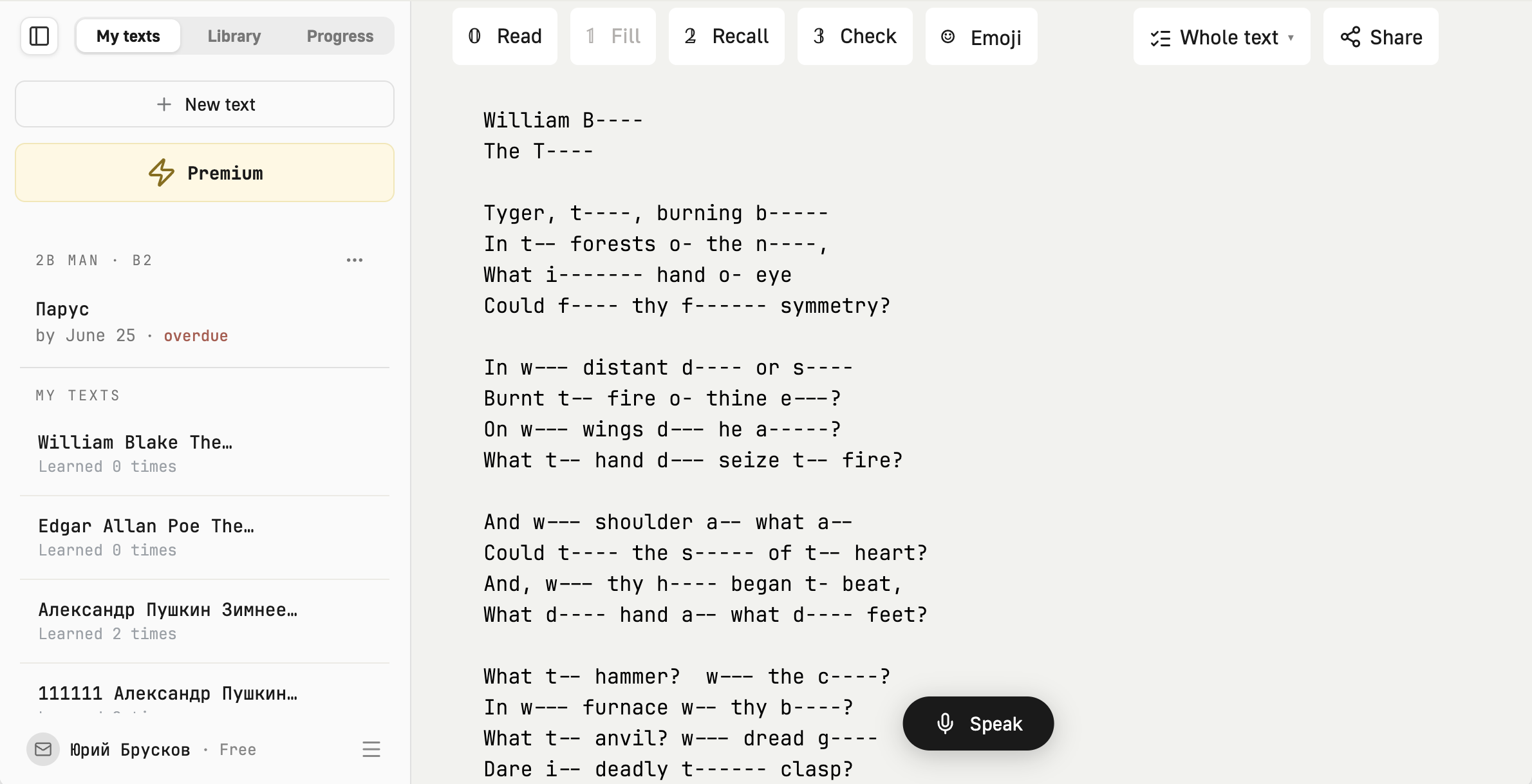 Memorizun web interface